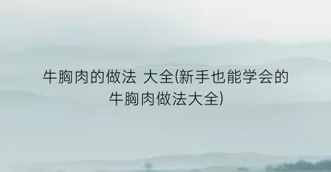 “牛胸肉的做法 大全(新手也能学会的牛胸肉做法大全)